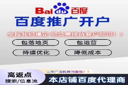 某品牌SEM广告策略揭秘——代运营公司的智慧
